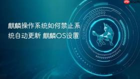 麒麟操作系统如何禁止系统自动更新 麒麟os设置