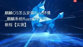 麒麟os怎么安装rust环境_麒麟系统rust编程安装教程【实测】
