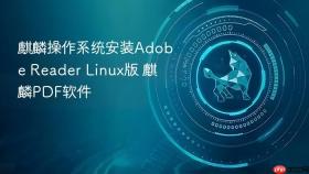 麒麟操作系统安装Adobe Reader Linux版 麒麟PDF软件
