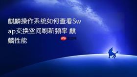 麒麟操作系统如何查看Swap交换空间刷新频率 麒麟性能