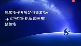 麒麟操作系统如何查看swap交换空间刷新频率 麒麟性能