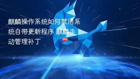 麒麟操作系统如何禁用系统自带更新程序 麒麟手动管理补丁