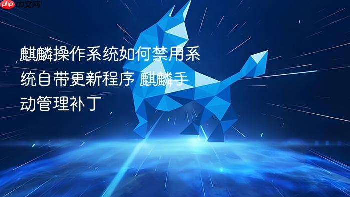麒麟操作系统如何禁用系统自带更新程序 麒麟手动管理补丁