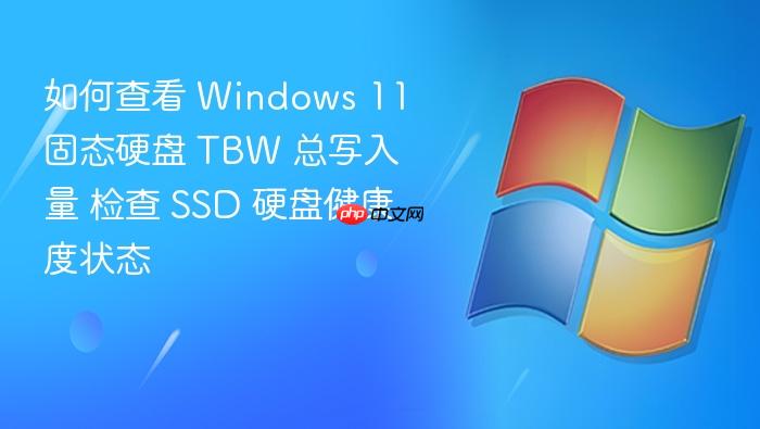 如何查看 windows 11 固态硬盘 tbw 总写入量 检查 ssd 硬盘健康度状态