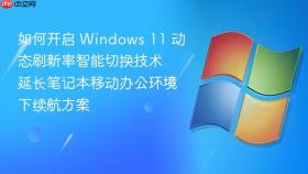 如何开启 windows 11 动态刷新率智能切换技术 延长笔记本移动办公环境下续航方案