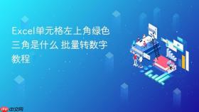 excel单元格左上角绿色三角是什么 批量转数字教程