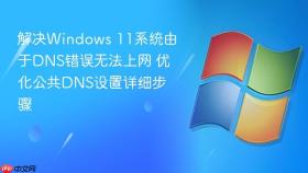 解决windows 11系统由于dns错误无法上网 优化公共dns设置详细步骤