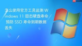 怎么使用官方工具监测 windows 11 固态硬盘寿命 预防 ssd 寿命到期数据丢失