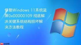 修复windows 11系统蓝屏0x00000109 彻底解决关键系统结构损坏解决方法教程