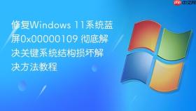 修复Windows 11系统蓝屏0x00000109 彻底解决关键系统结构损坏解决方法教程