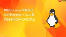 如何在linux中解决无法获取ip地址 linux重启网卡和dhcp的方法
