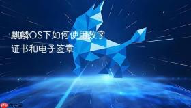 麒麟os下如何使用数字证书和电子签章