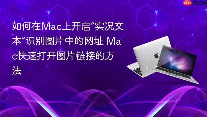 如何在mac上开启“实况文本”识别图片中的网址 mac快速打开图片链接的方法
