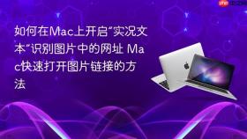 如何在mac上开启“实况文本”识别图片中的网址 mac快速打开图片链接的方法