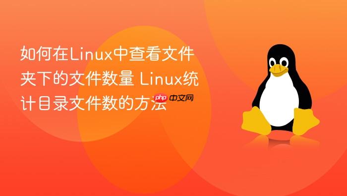 如何在linux中查看文件夹下的文件数量 linux统计目录文件数的方法