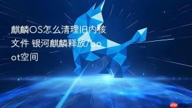 麒麟os怎么清理旧内核文件 银河麒麟释放/boot空间