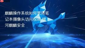 麒麟操作系统如何禁用笔记本摄像头访问权限 银河麒麟安全