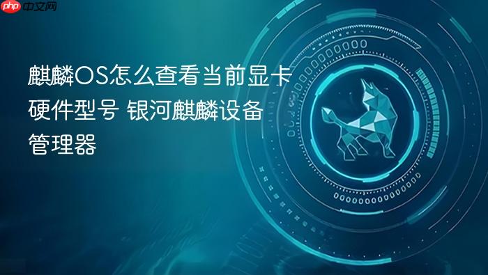 麒麟os怎么查看当前显卡硬件型号 银河麒麟设备管理器