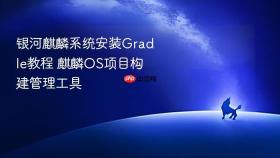 银河麒麟系统安装gradle教程 麒麟os项目构建管理工具