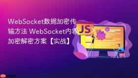 websocket数据加密传输方法 websocket内容加密解密方案【实战】