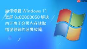 如何修复 windows 11 蓝屏 0x00000050 解决由于由于分页内存读取错误导致的蓝屏故障
