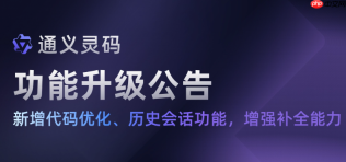 通义灵码怎么清理缓存 解决插件占用内存过高问题