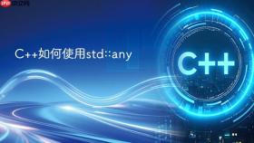 c++如何使用std::any