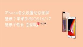 iPhone怎么设置动态锁屏壁纸？苹果手机iOS16/17壁纸个性化【指南】