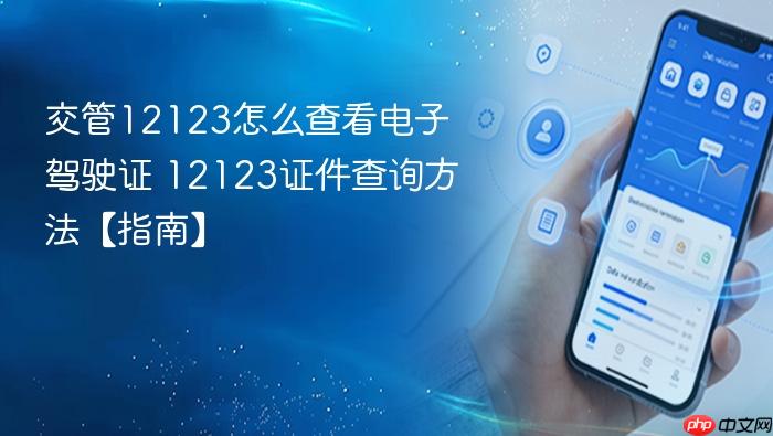 交管12123怎么查看电子驾驶证 12123证件查询方法【指南】