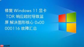 修复 windows 11 显卡 tdr 响应超时导致蓝屏 解决图形核心 0x00000116 故障汇总