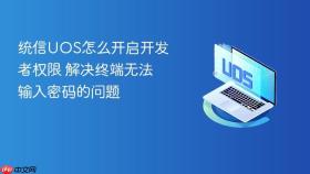 统信UOS怎么开启开发者权限 解决终端无法输入密码的问题