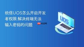 统信uos怎么开启开发者权限 解决终端无法输入密码的问题