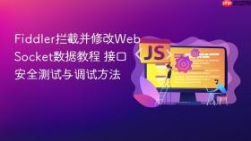 fiddler拦截并修改websocket数据教程 接口安全测试与调试方法