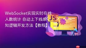 websocket实现实时在线人数统计 自动上下线感知逻辑开发方法【教程】