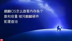 麒麟OS怎么查看内存条个数和容量 银河麒麟硬件配置查询
