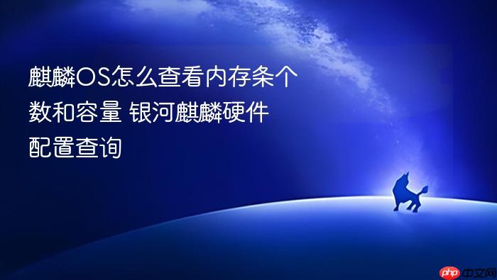 麒麟os怎么查看内存条个数和容量 银河麒麟硬件配置查询