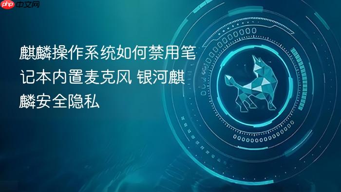 麒麟操作系统如何禁用笔记本内置麦克风 银河麒麟安全隐私