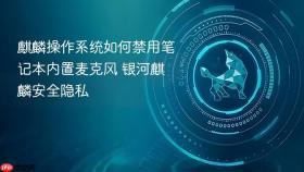 麒麟操作系统如何禁用笔记本内置麦克风 银河麒麟安全隐私