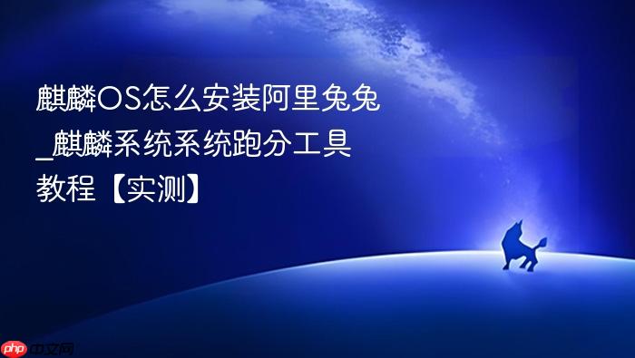 麒麟os怎么安装阿里兔兔_麒麟系统系统跑分工具教程【实测】