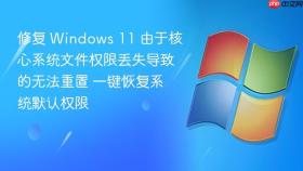 修复 windows 11 由于核心系统文件权限丢失导致的无法重置 一键恢复系统默认权限