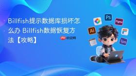 Billfish提示数据库损坏怎么办 Billfish数据恢复方法【攻略】