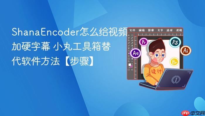 shanaencoder怎么给视频加硬字幕 小丸工具箱替代软件方法【步骤】