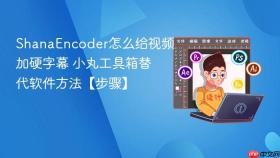 shanaencoder怎么给视频加硬字幕 小丸工具箱替代软件方法【步骤】