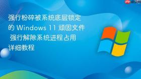 强行粉碎被系统底层锁定的 windows 11 顽固文件 强行解除系统进程占用详细教程