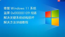 修复 windows 11 系统蓝屏 0x00000109 彻底解决关键系统结构损坏解决方法详细教程