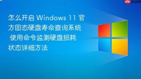 怎么开启 windows 11 官方固态硬盘寿命查询系统 使用命令监测硬盘损耗状态详细方法