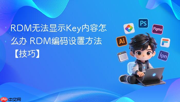rdm无法显示key内容怎么办 rdm编码设置方法【技巧】