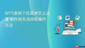 wps表格下拉菜单怎么设置 制作简易选择框操作方法