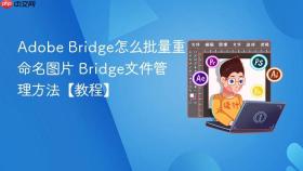Adobe Bridge怎么批量重命名图片 Bridge文件管理方法【教程】