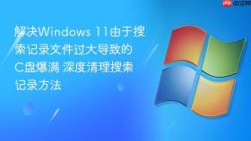 解决windows 11由于搜索记录文件过大导致的c盘爆满 深度清理搜索记录方法